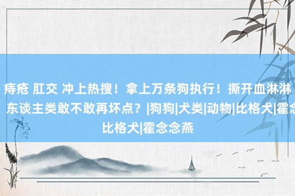 痔疮 肛交 冲上热搜！拿上万条狗执行！撕开血淋淋真相，东谈主类敢不敢再坏点？|狗狗|犬类|动物|比格犬|霍念念燕