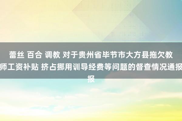 蕾丝 百合 调教 对于贵州省毕节市大方县拖欠教师工资补贴 挤占挪用训导经费等问题的督查情况通报