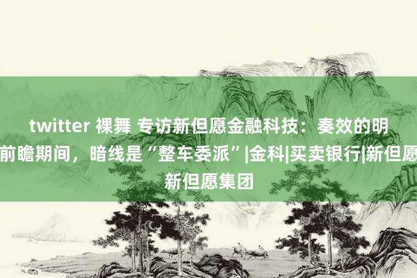 twitter 裸舞 专访新但愿金融科技：奏效的明线是前瞻期间，暗线是“整车委派”|金科|买卖银行|新但愿集团