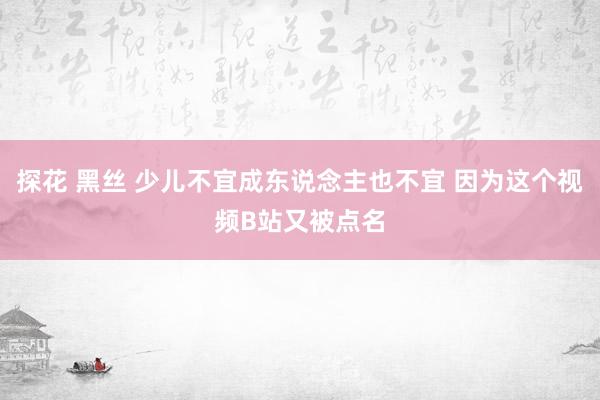 探花 黑丝 少儿不宜成东说念主也不宜 因为这个视频B站又被点名