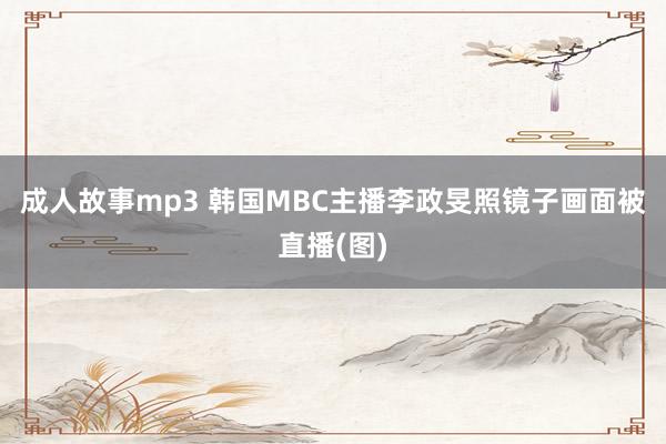 成人故事mp3 韩国MBC主播李政旻照镜子画面被直播(图)