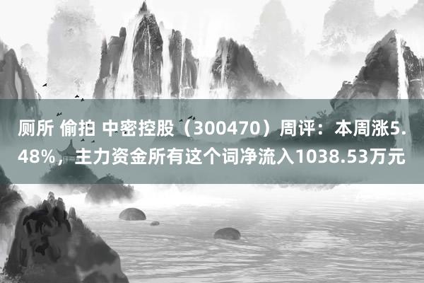 厕所 偷拍 中密控股（300470）周评：本周涨5.48%，主力资金所有这个词净流入1038.53万元